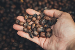 Natural process Balinese coffee